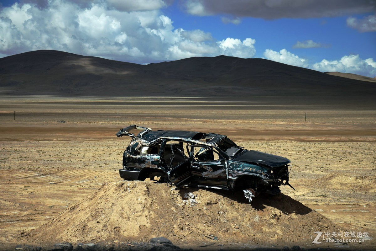 2018夏 川新藏（175）阿克赛钦藏羚羊