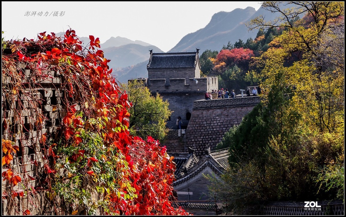 #ZOL月赛晒秋# 居庸叠翠私语秋色 八