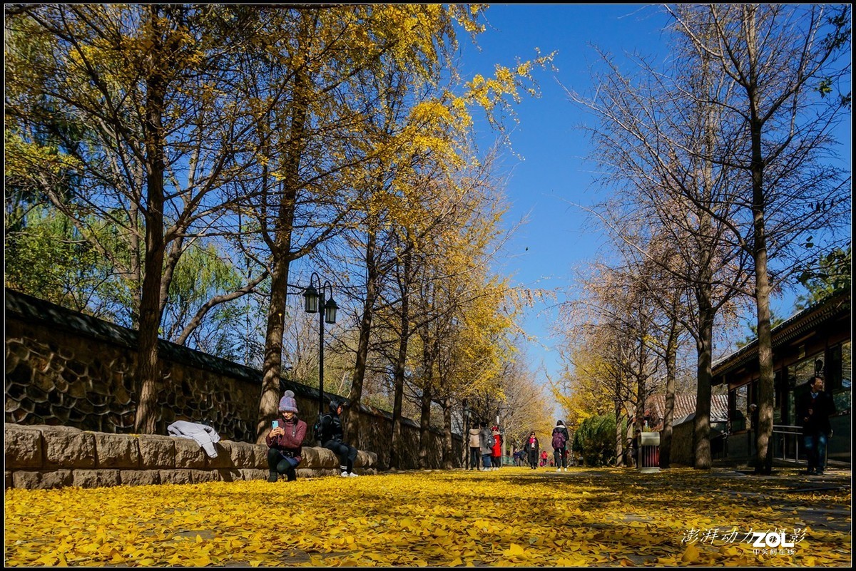 #ZOL月赛晒秋# 金色圆明园之浓墨重彩 一