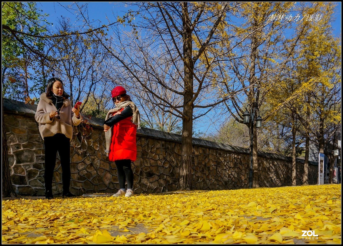 #ZOL月赛晒秋# 金色圆明园之浓墨重彩 一