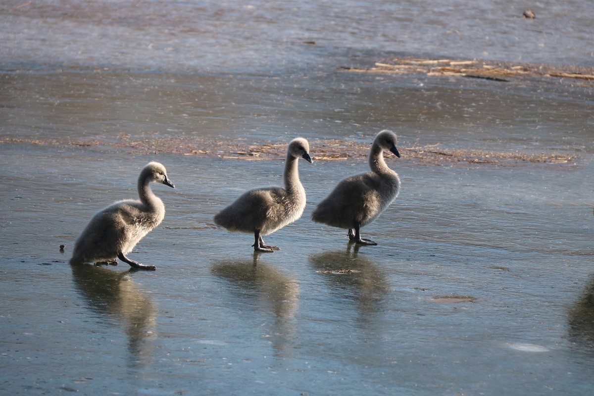 跌倒了不怕，爬起来再前行！
