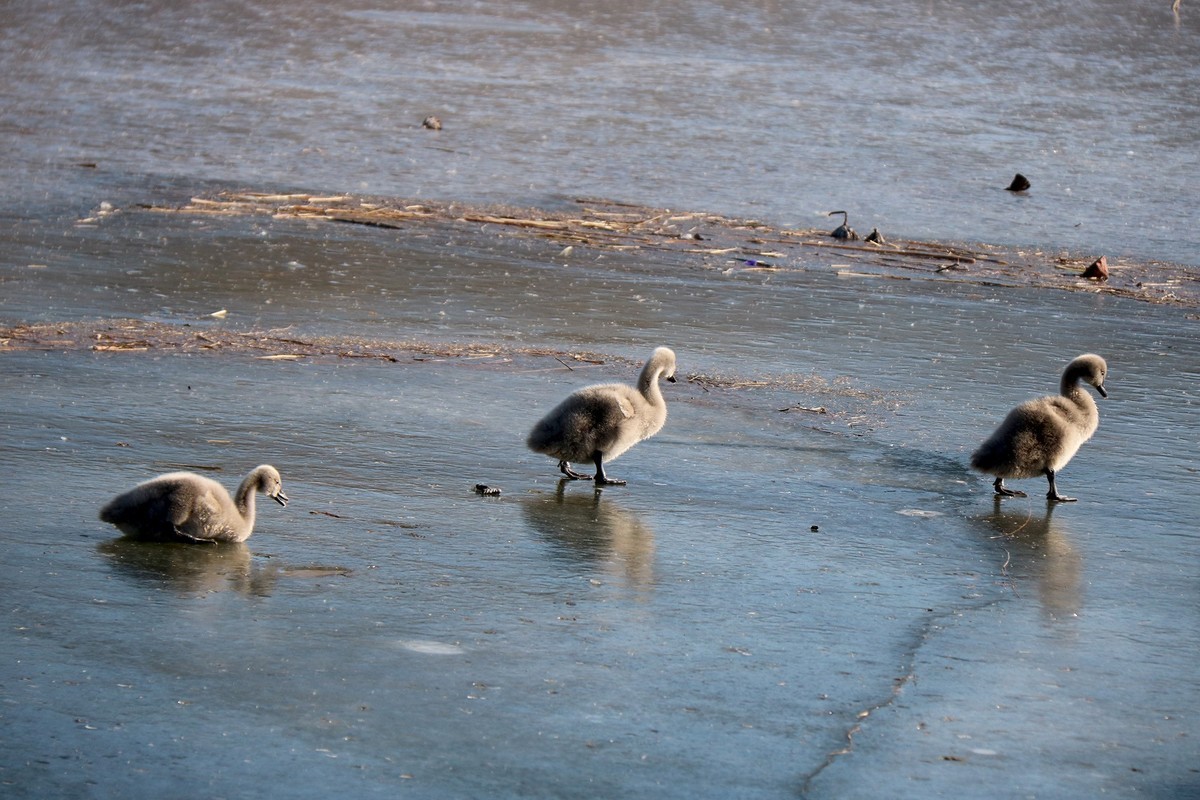 跌倒了不怕，爬起来再前行！