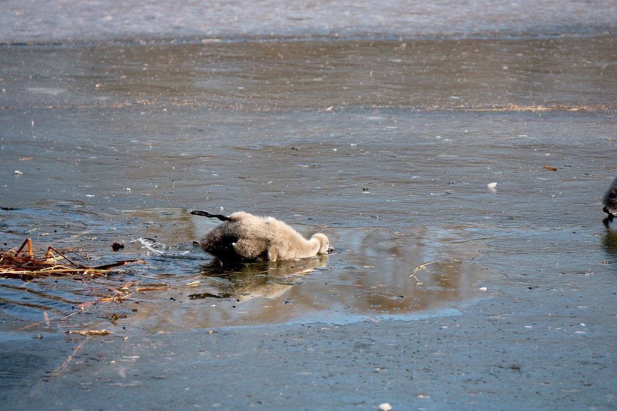 跌倒了不怕，爬起来再前行！