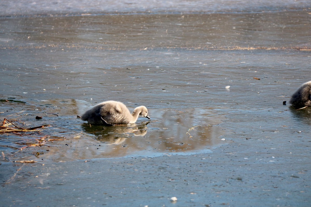 跌倒了不怕，爬起来再前行！