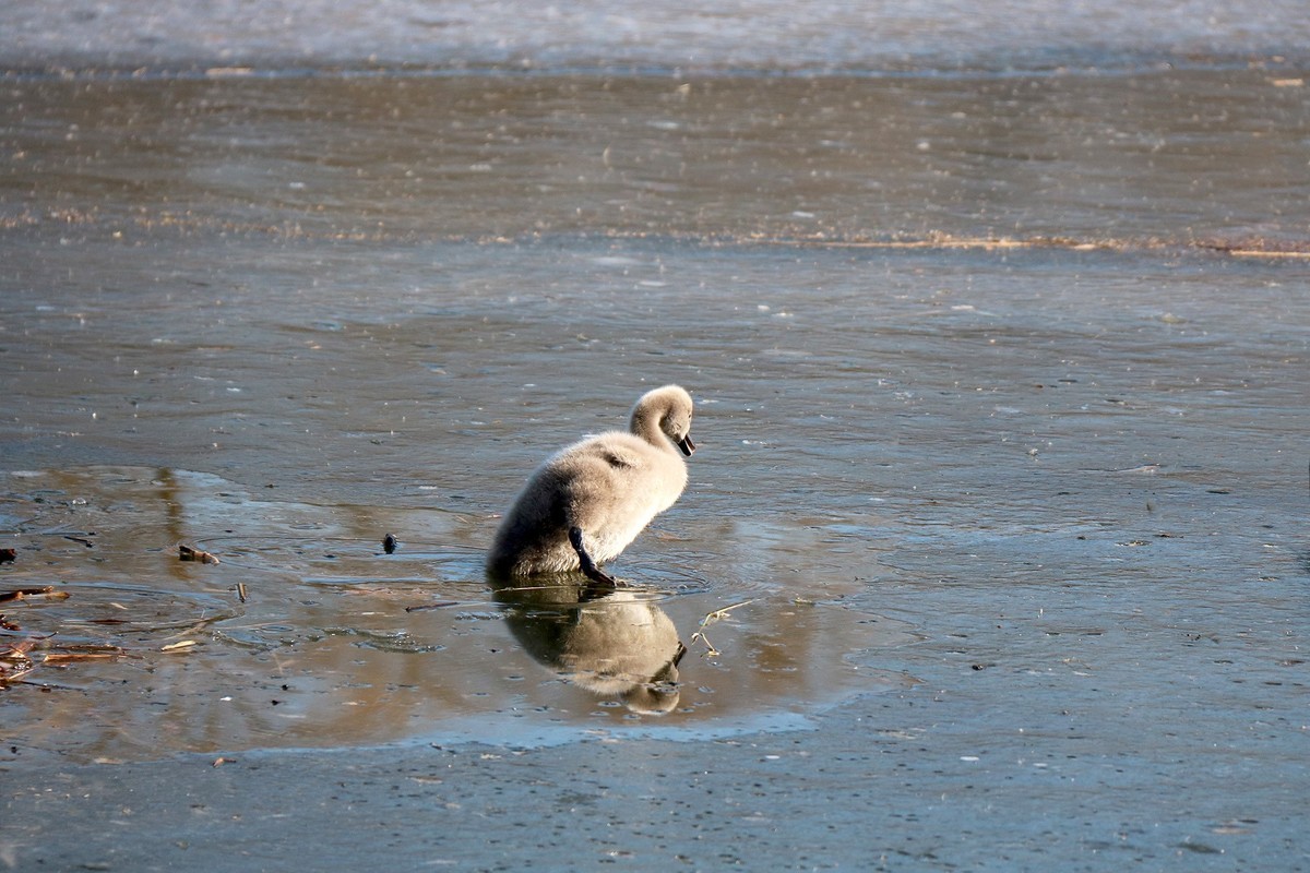 跌倒了不怕，爬起来再前行！
