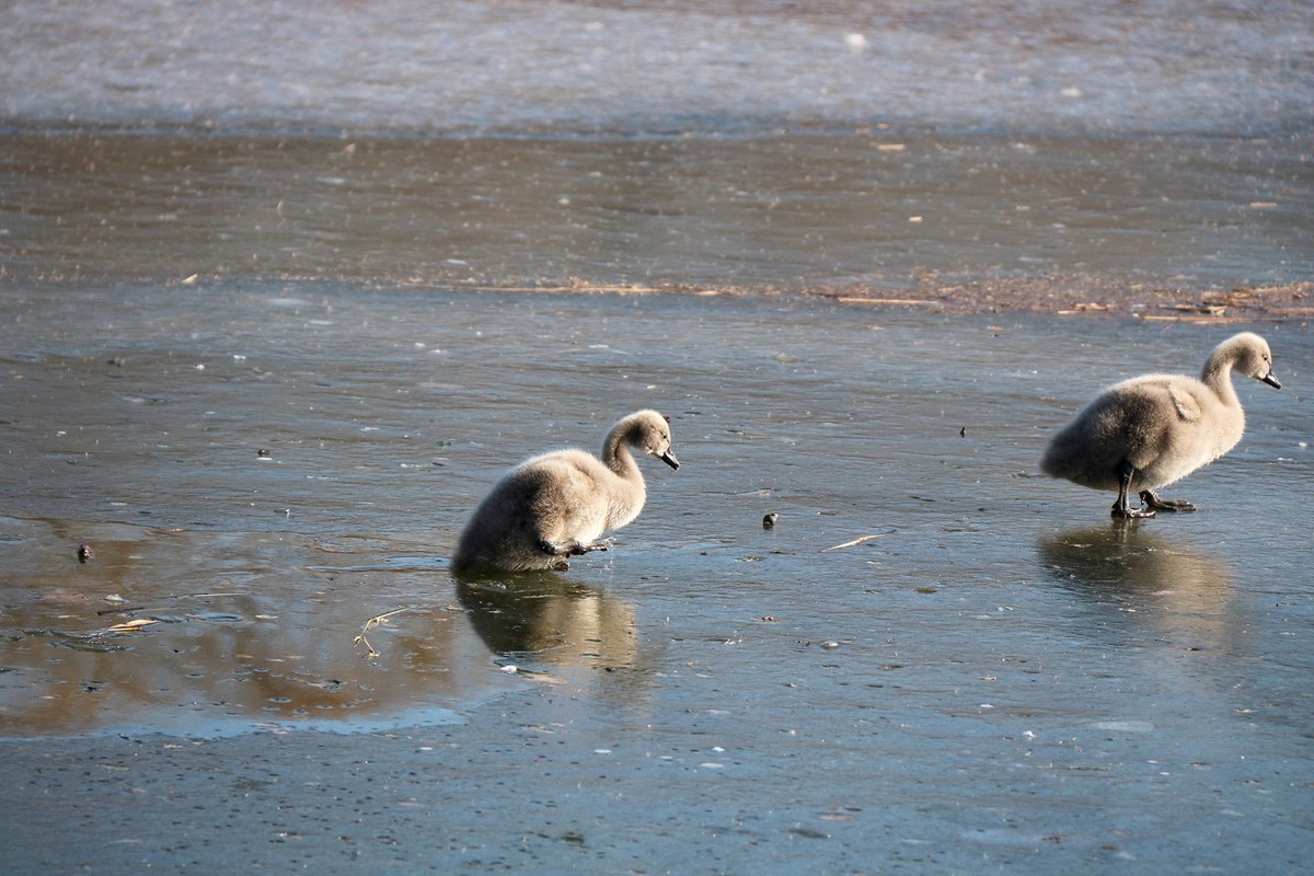 跌倒了不怕，爬起来再前行！