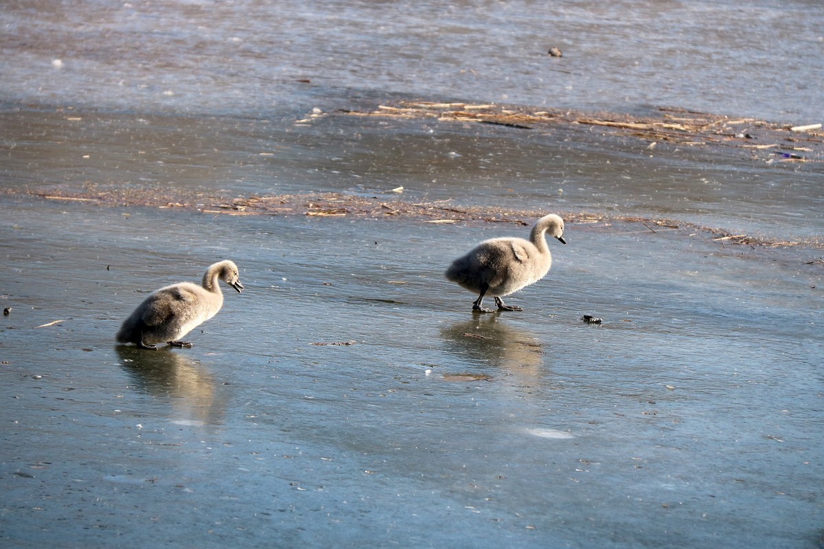 跌倒了不怕，爬起来再前行！