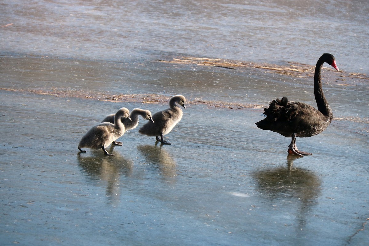 跌倒了不怕，爬起来再前行！