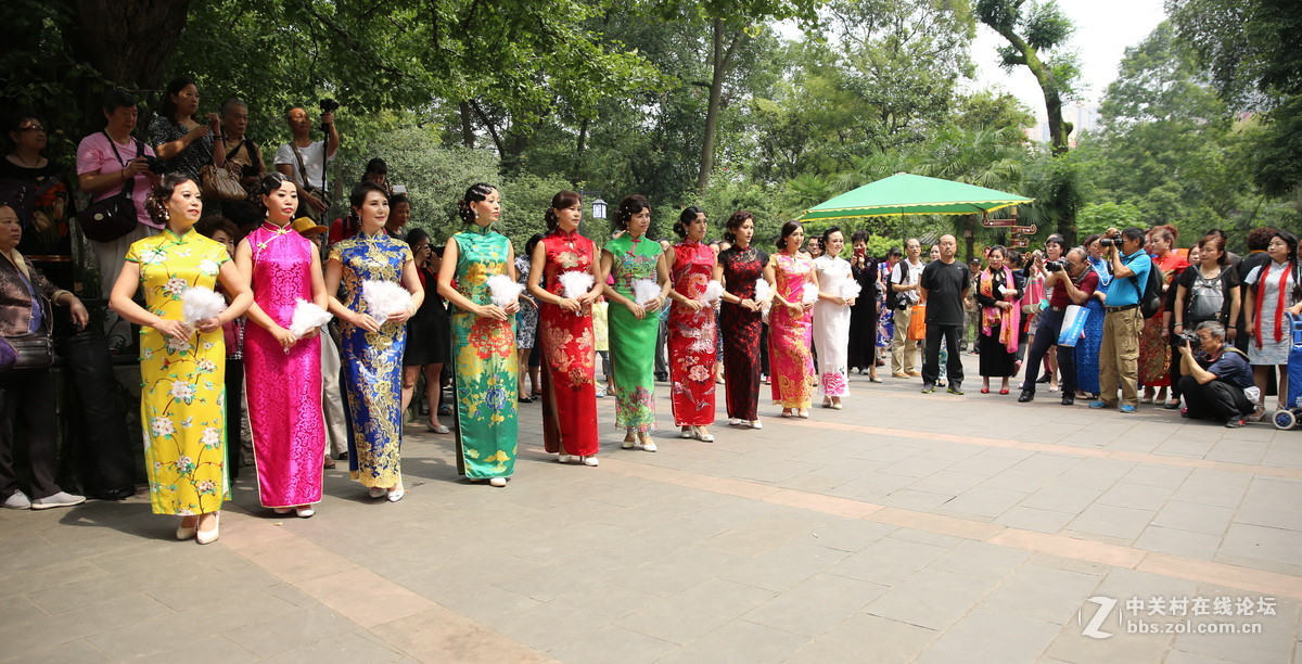 金秋旗袍会      群英展芳姿