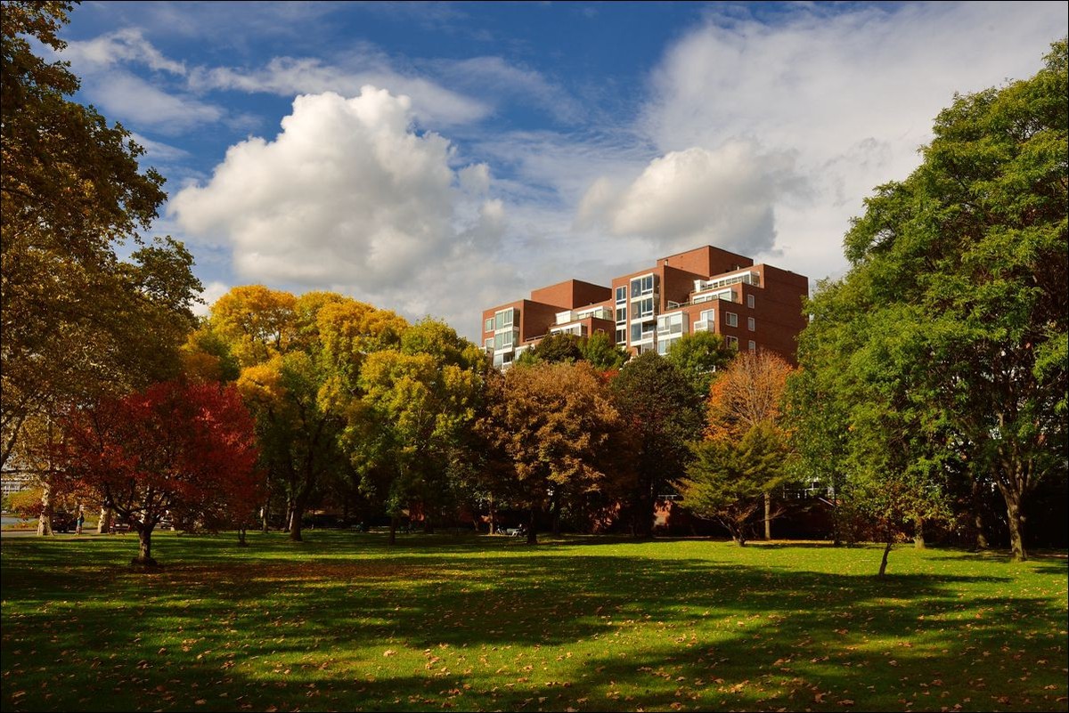 休闲随拍（250）