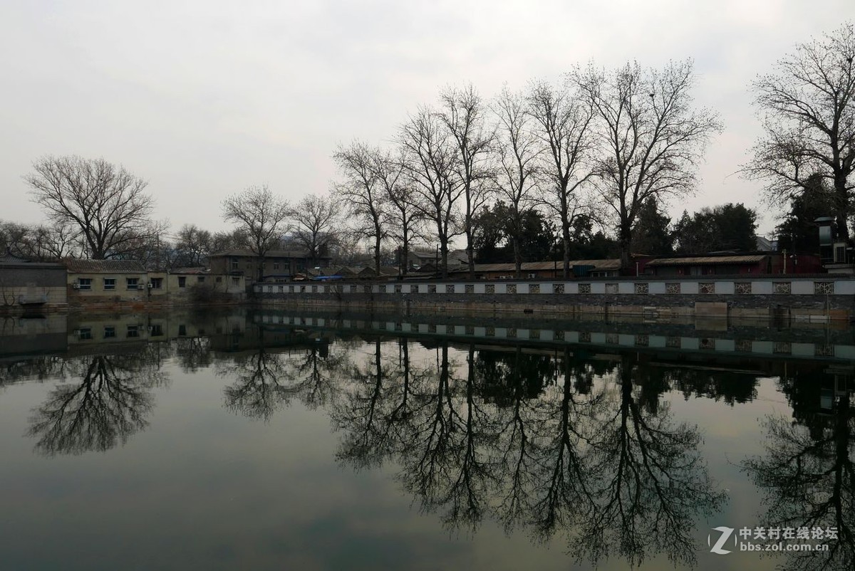 这个春天，后海，我曾来过！