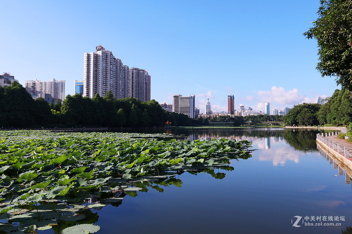 深圳洪湖公園