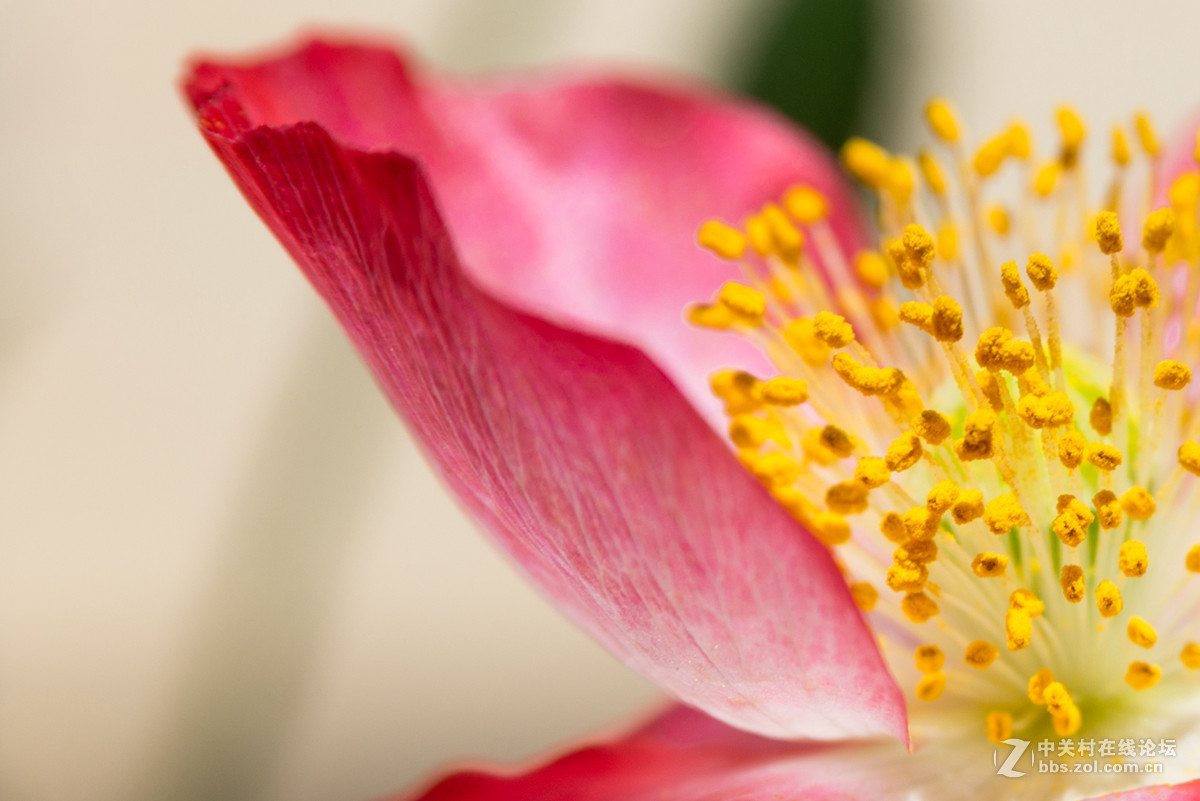 《D610星空(中国)2016年8月精选作品展示》