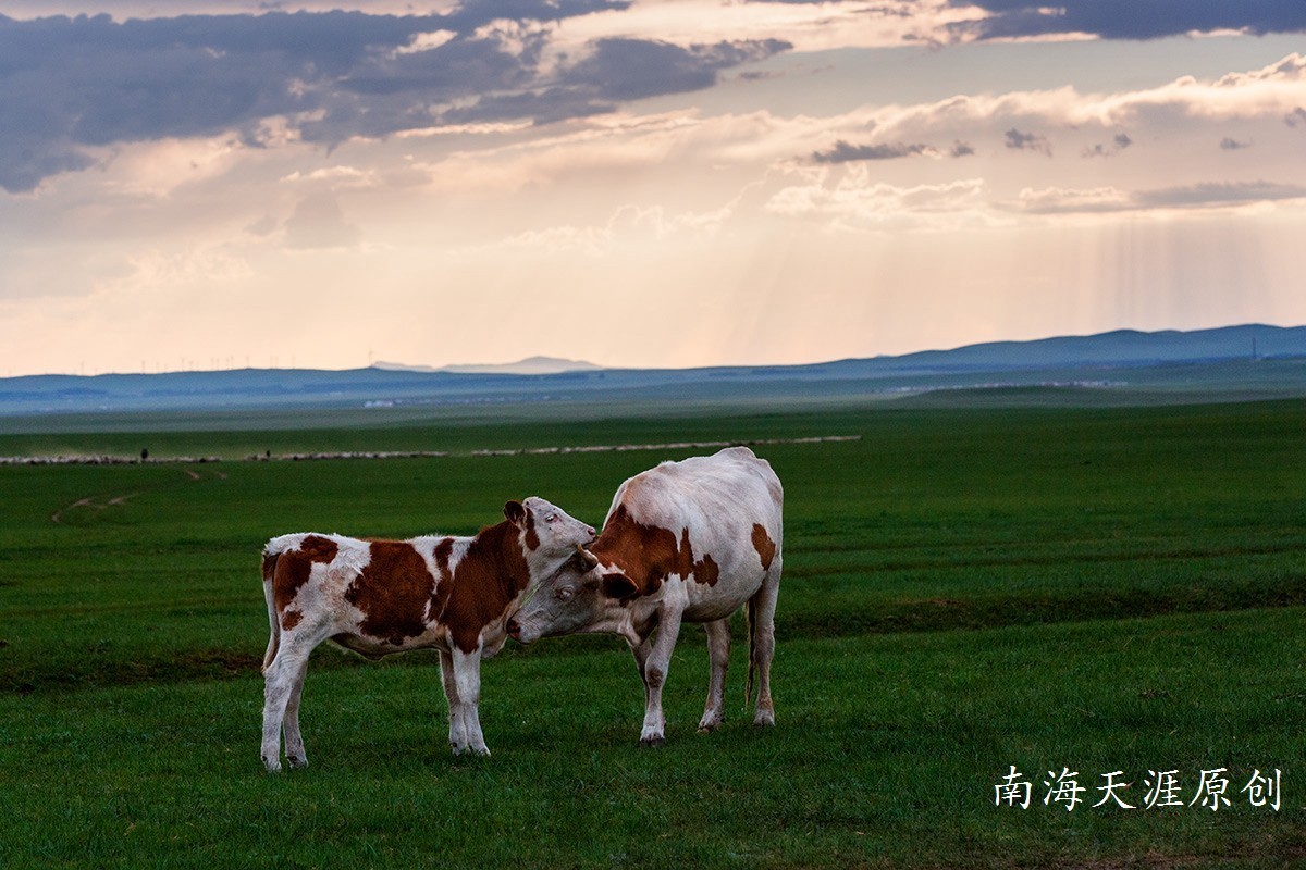 夏日的克什克腾旗系列三---草原深处