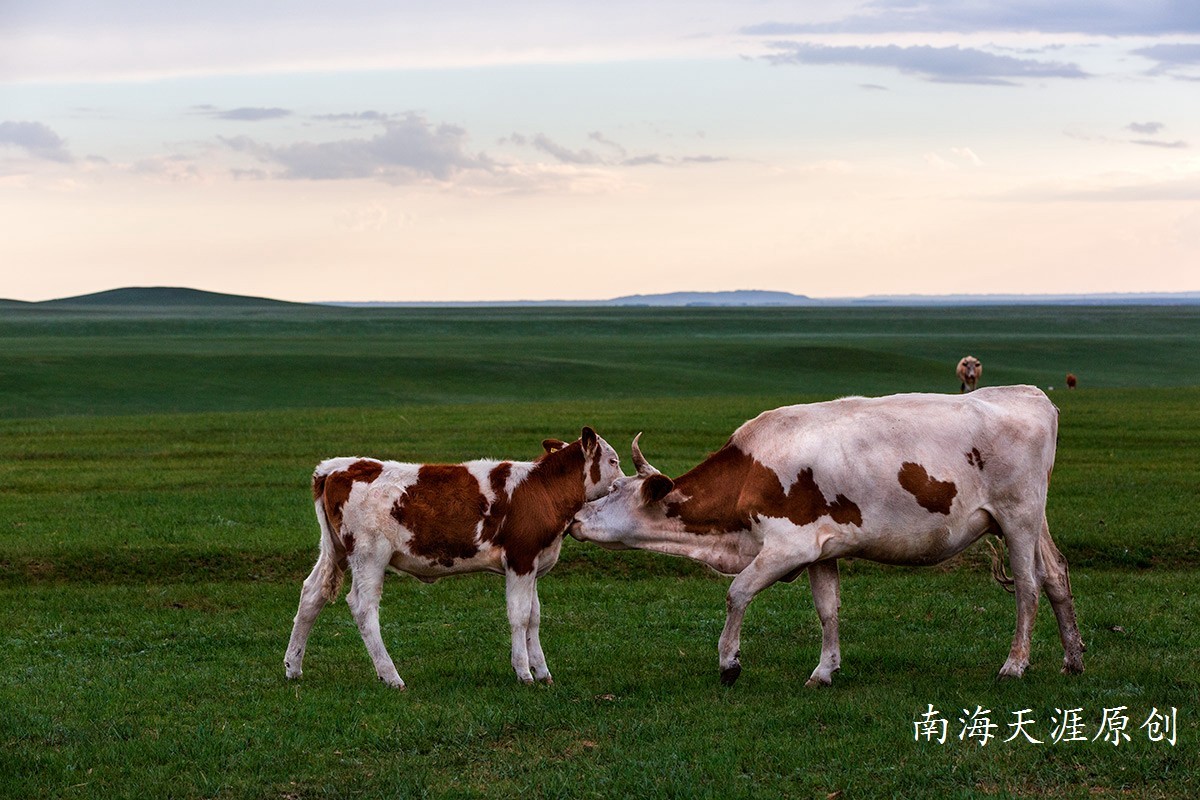 夏日的克什克腾旗系列三---草原深处