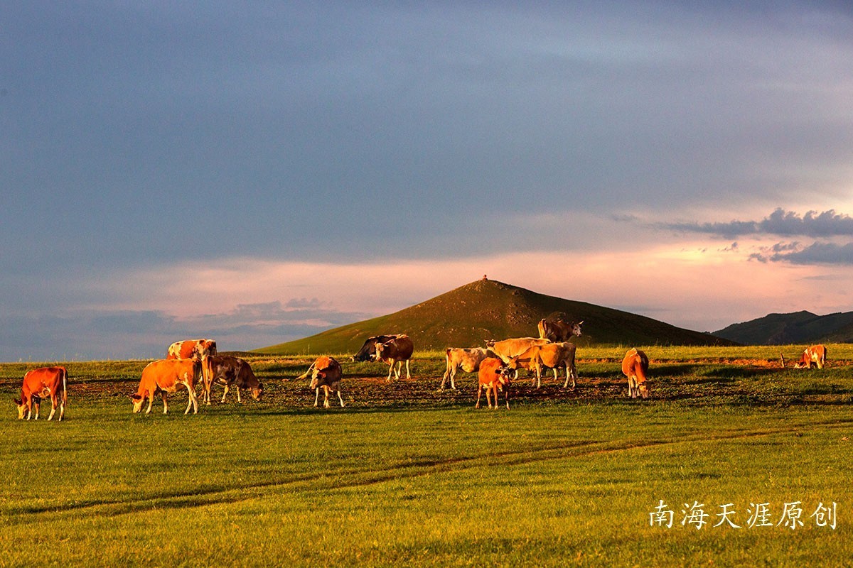 夏日的克什克腾旗系列三---草原深处