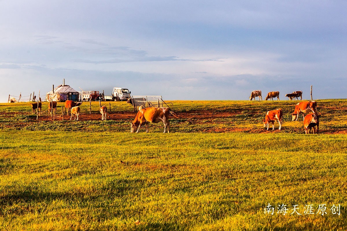 夏日的克什克腾旗系列三---草原深处