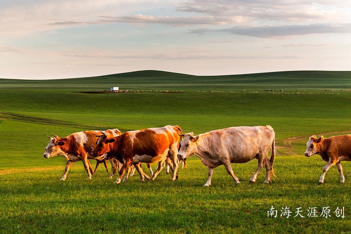 夏日的克什克腾旗系列三---草原深处