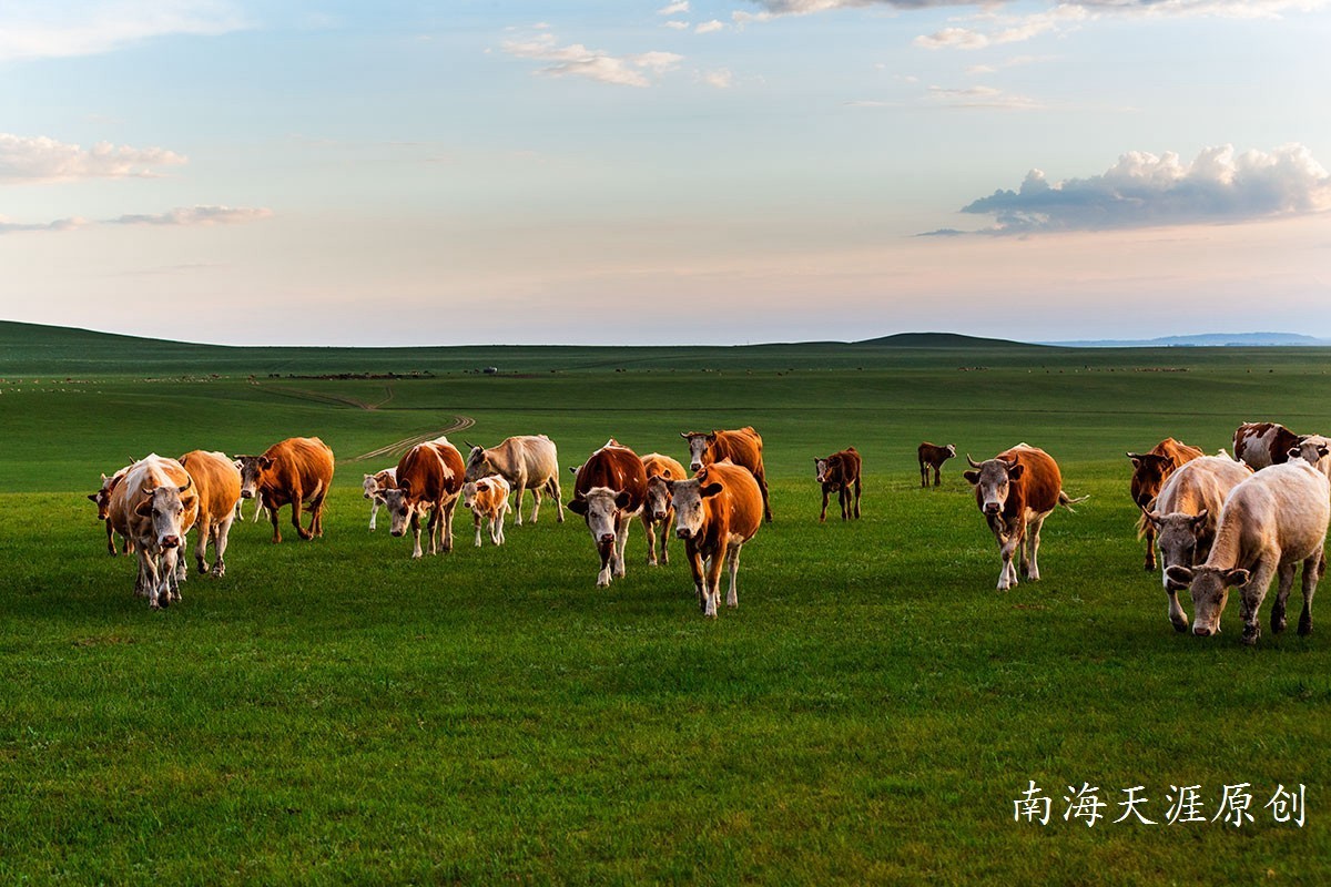 夏日的克什克腾旗系列三---草原深处
