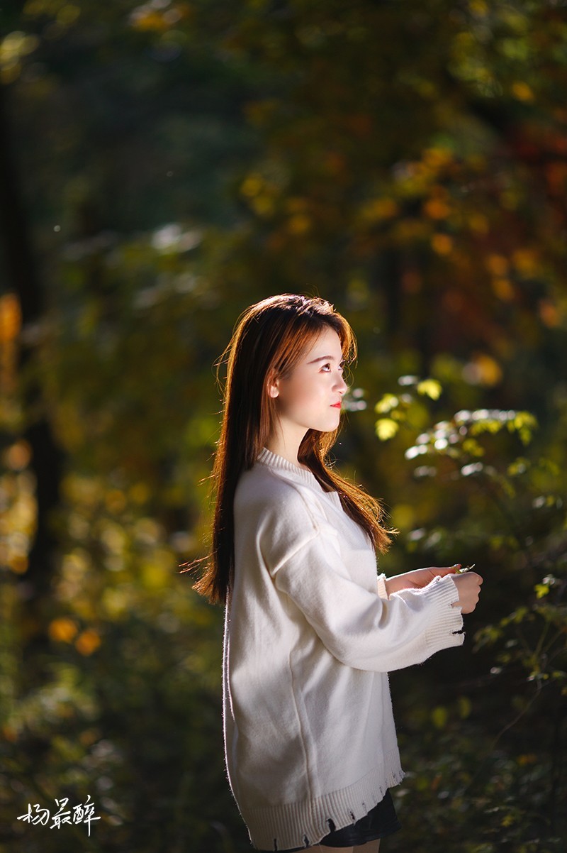 醉枫绵绵——杨最醉