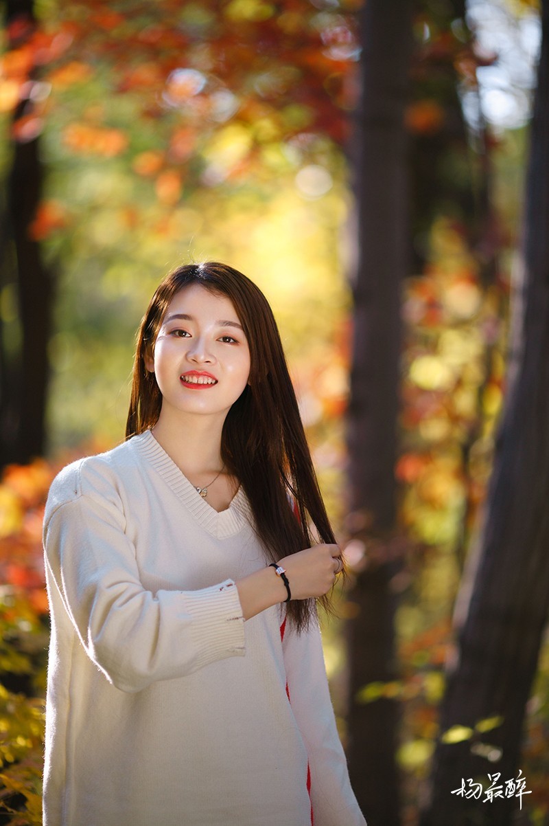 醉枫绵绵——杨最醉