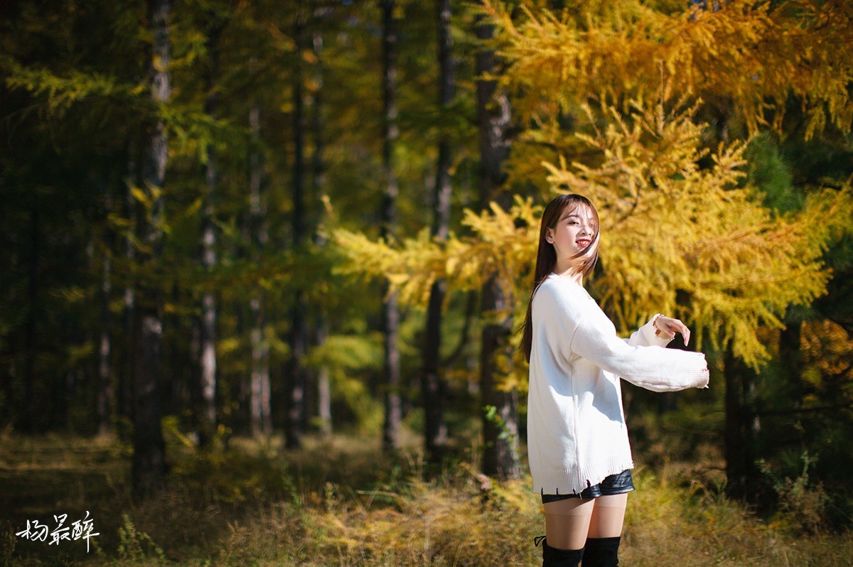 醉枫绵绵——杨最醉