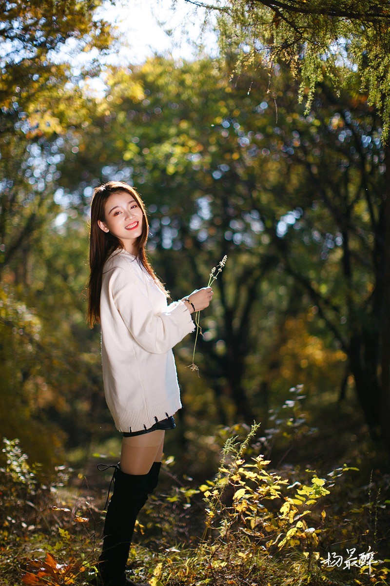 醉枫绵绵——杨最醉