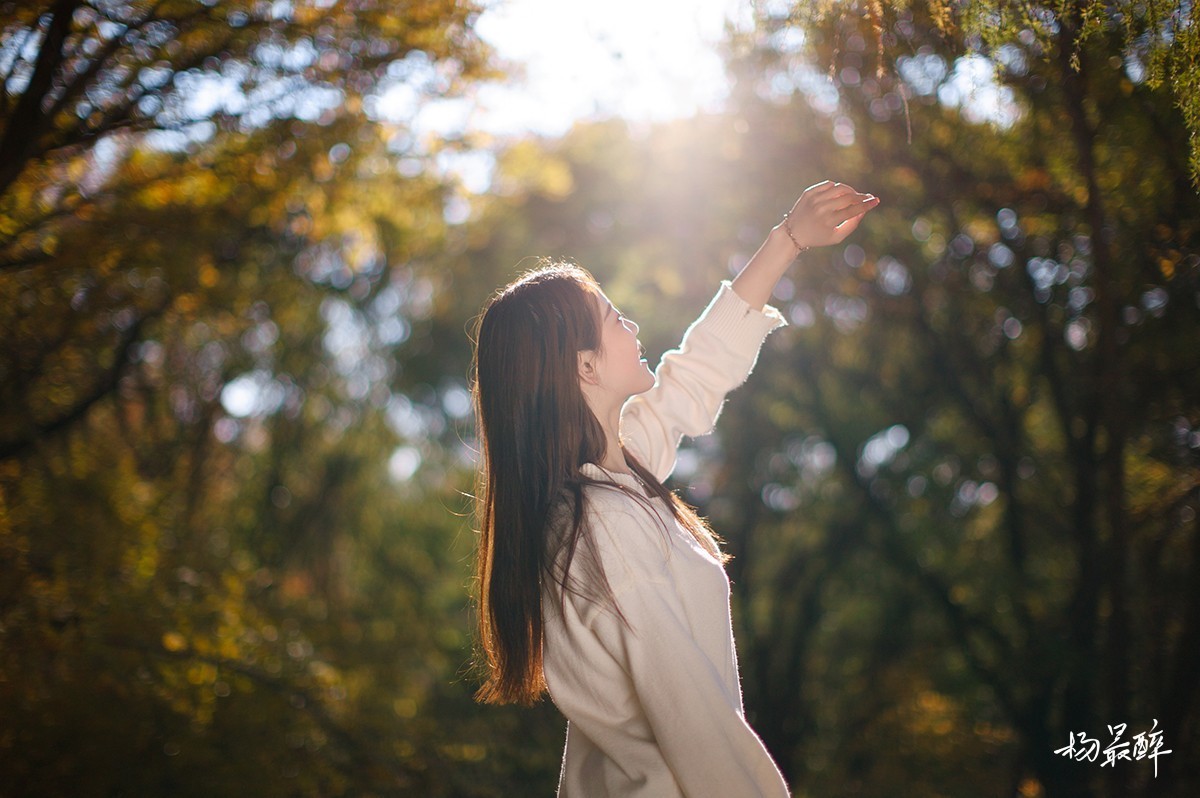 醉枫绵绵——杨最醉