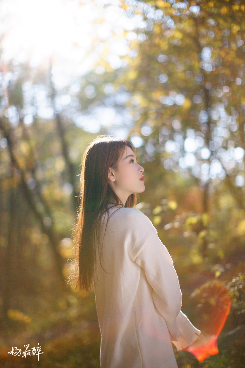 醉枫绵绵——杨最醉