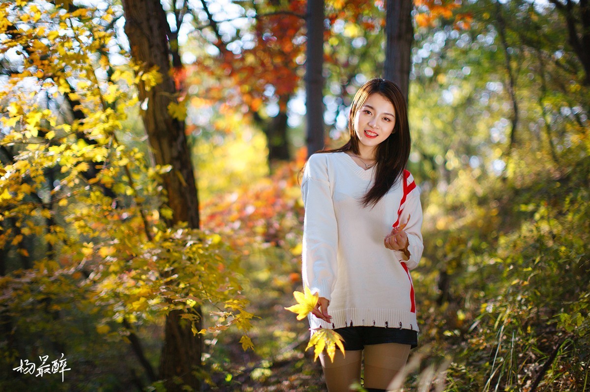 醉枫绵绵——杨最醉