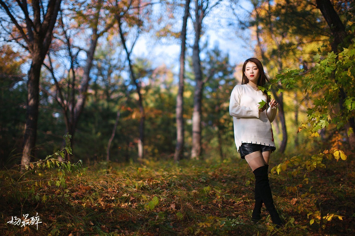 醉枫绵绵——杨最醉