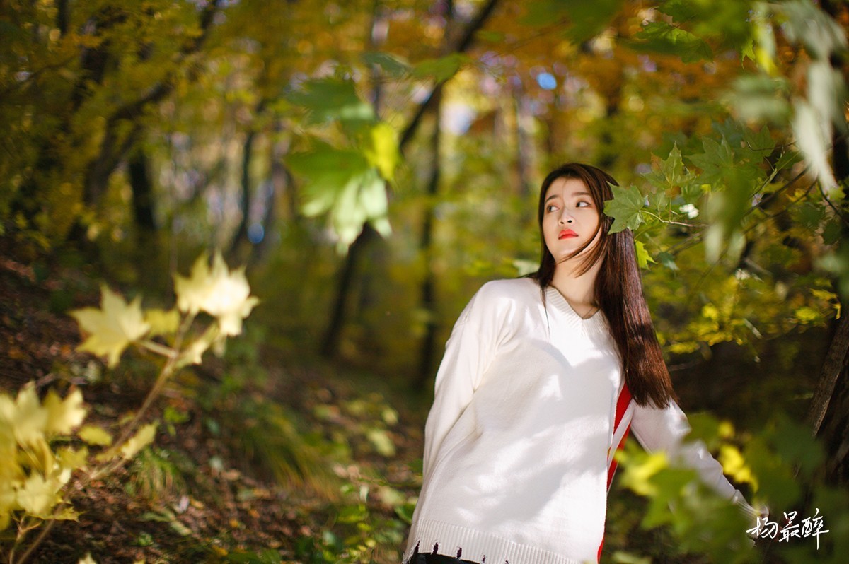 醉枫绵绵——杨最醉