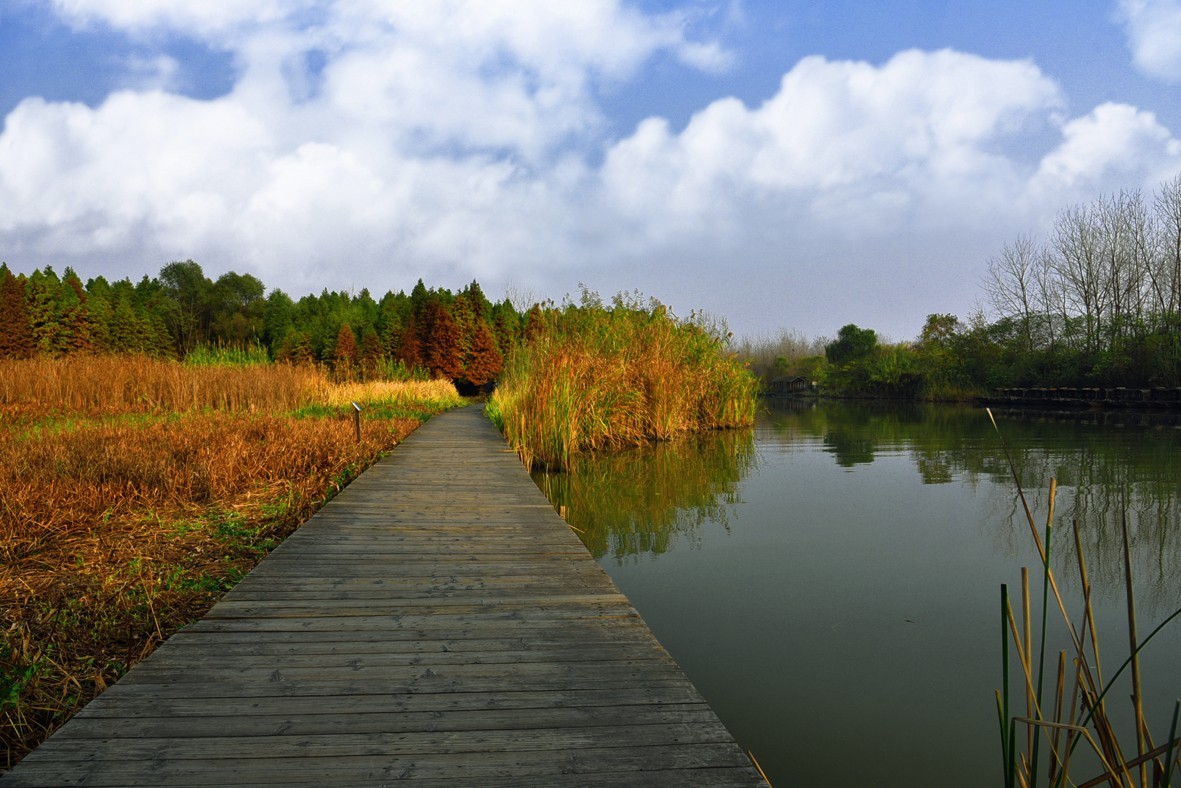 泰州溱湖