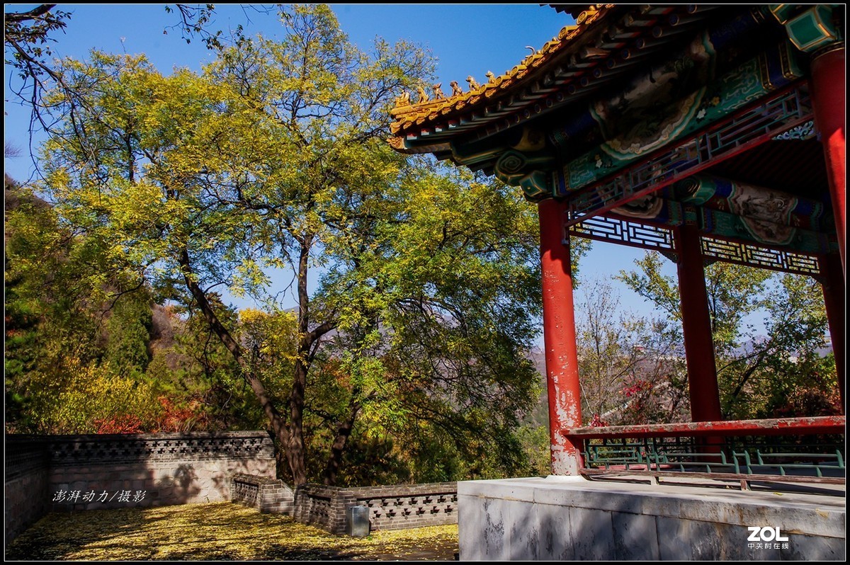 #ZOL月赛晒秋# 居庸叠翠私语秋色 八