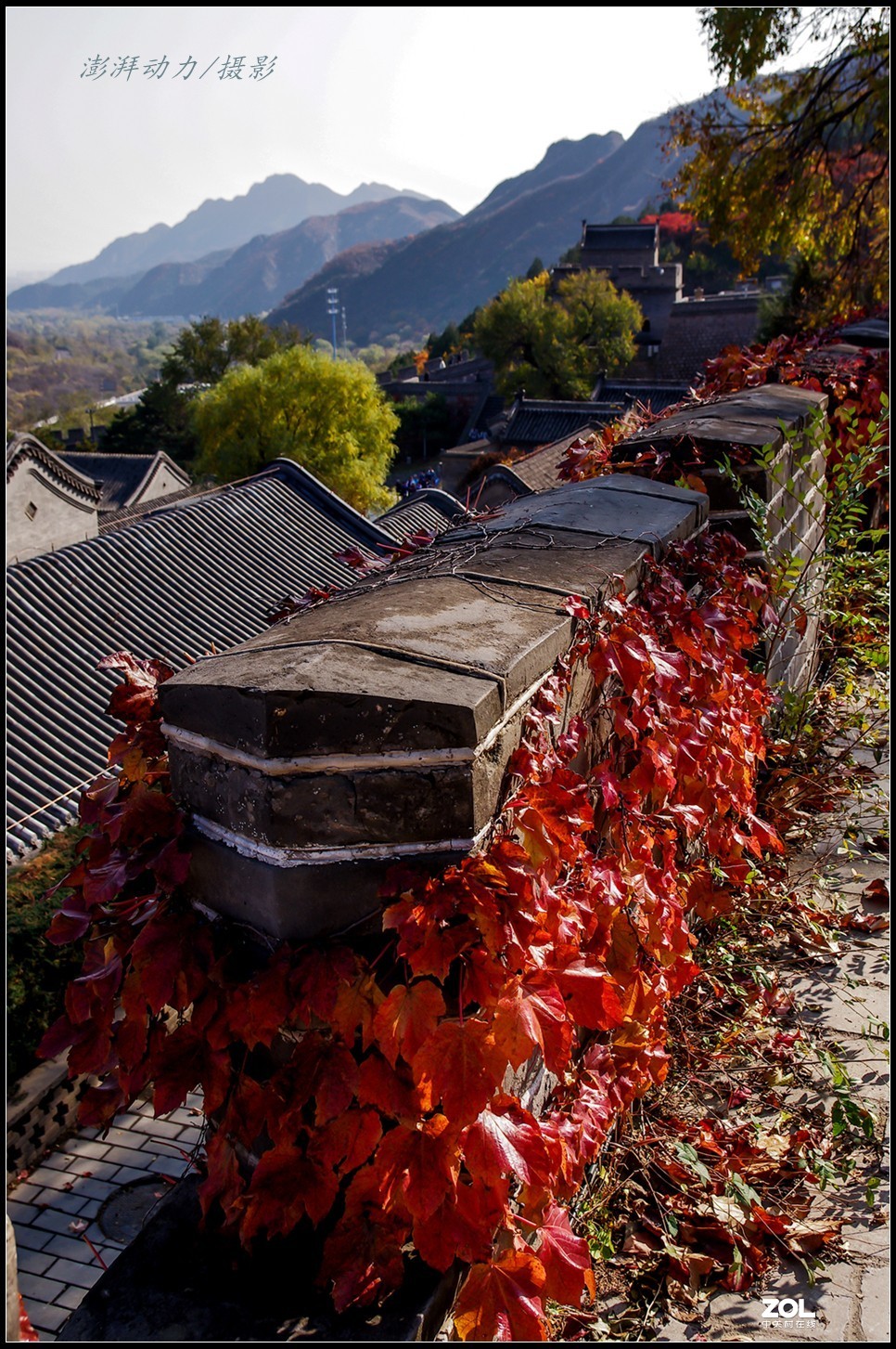 #ZOL月赛晒秋# 居庸叠翠私语秋色 八