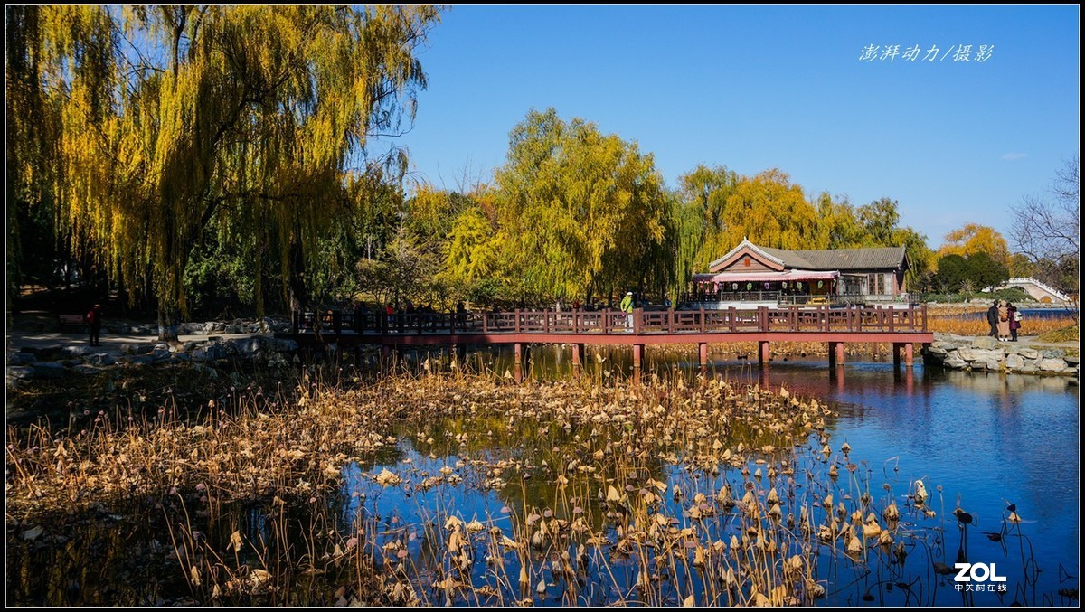 #ZOL月赛晒秋# 金色圆明园之浓墨重彩 一