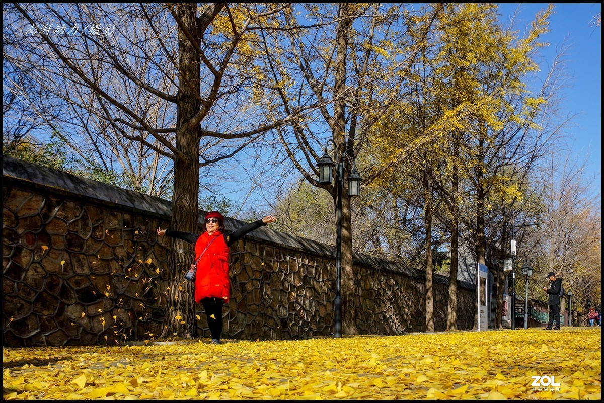 #ZOL月赛晒秋# 金色圆明园之浓墨重彩 一