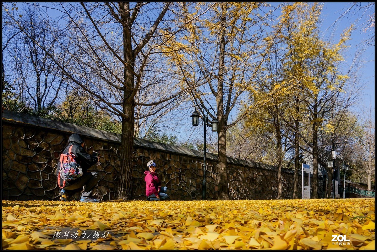 #ZOL月赛晒秋# 金色圆明园之浓墨重彩 一