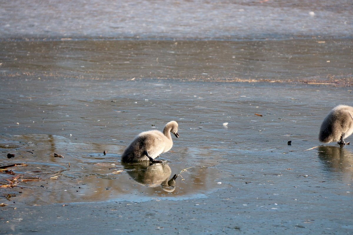 跌倒了不怕，爬起来再前行！