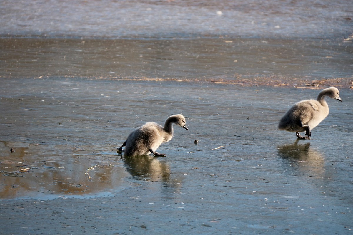 跌倒了不怕，爬起来再前行！