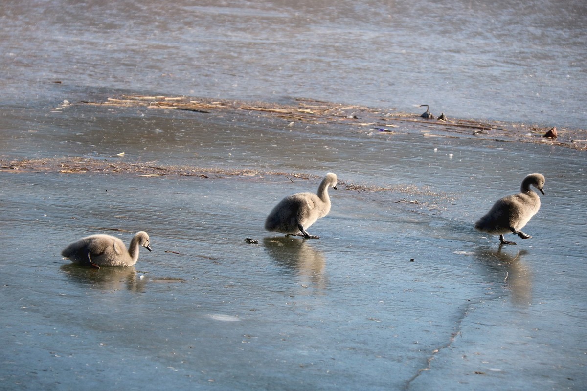 跌倒了不怕，爬起来再前行！