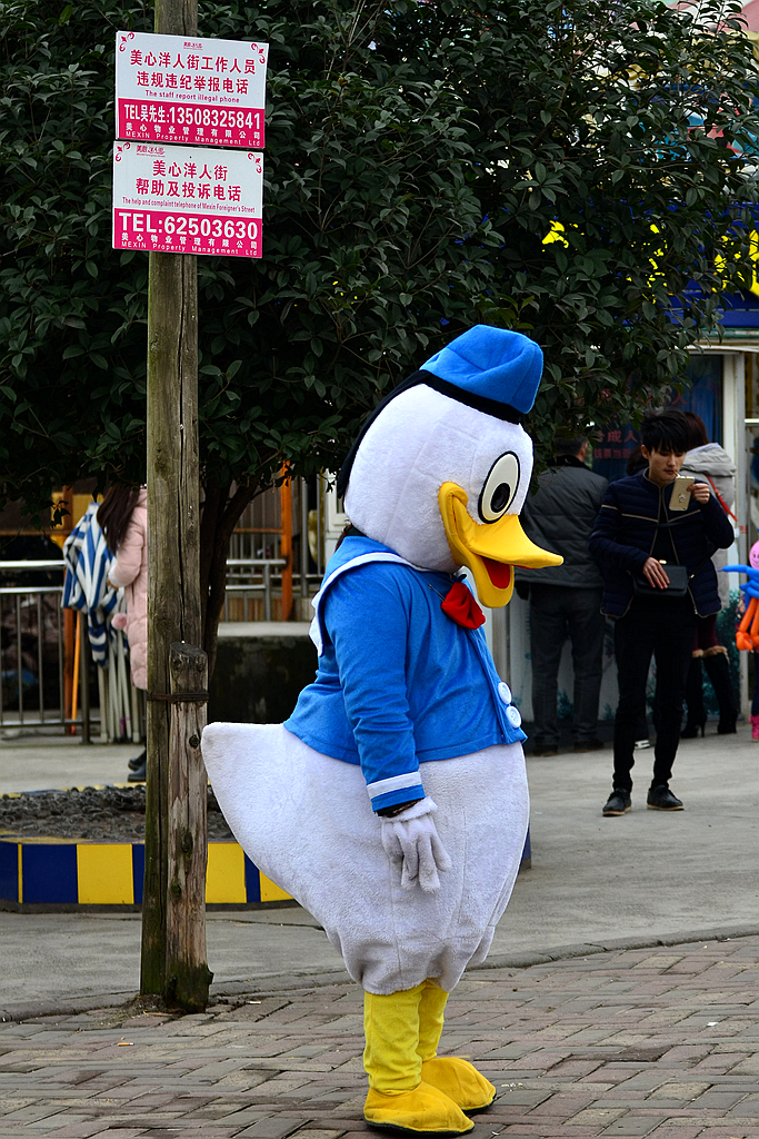 【 节日期间的摄影趣图集 】