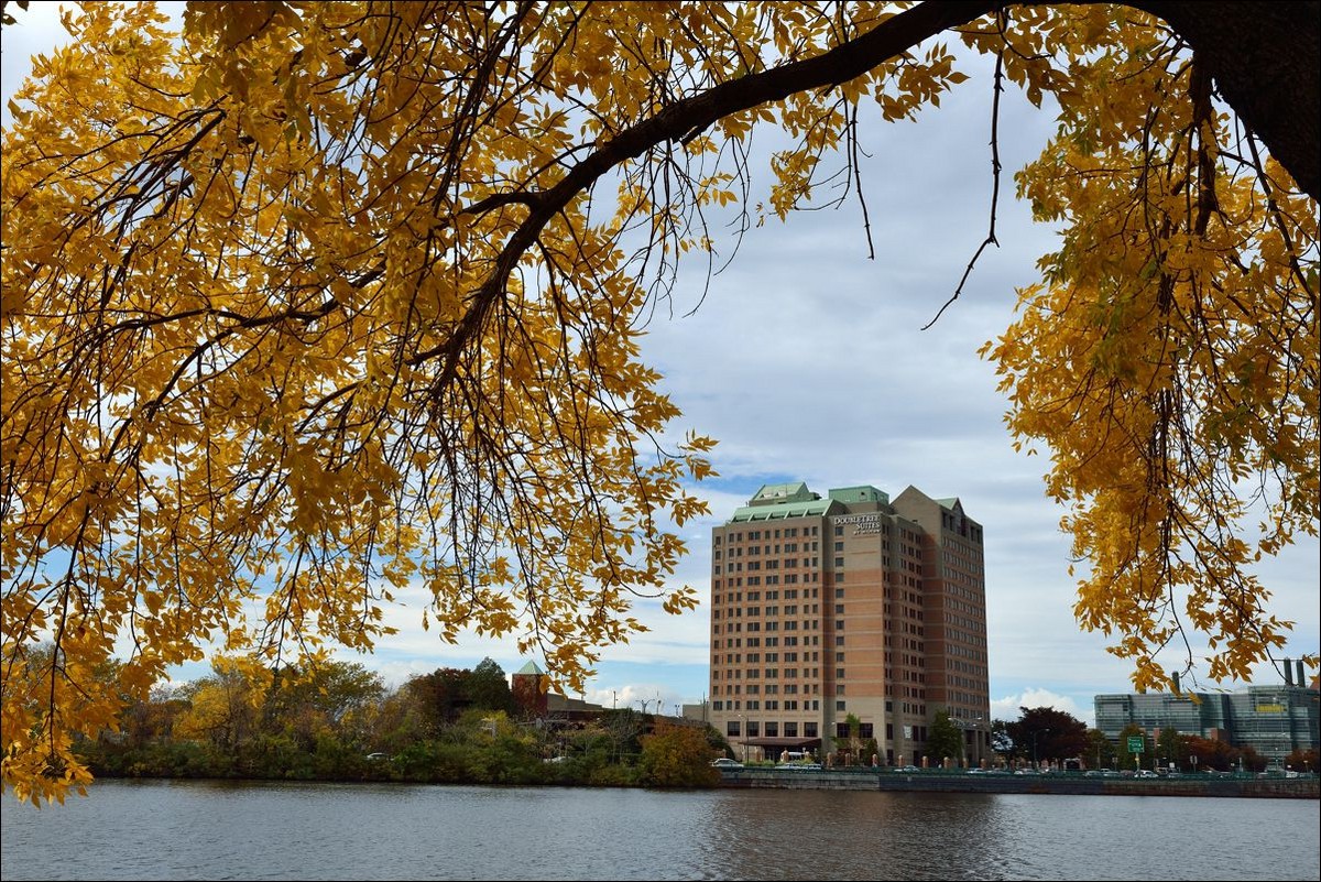 休闲随拍（250）