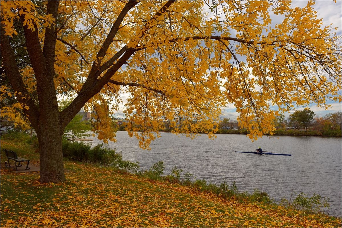 休闲随拍（250）