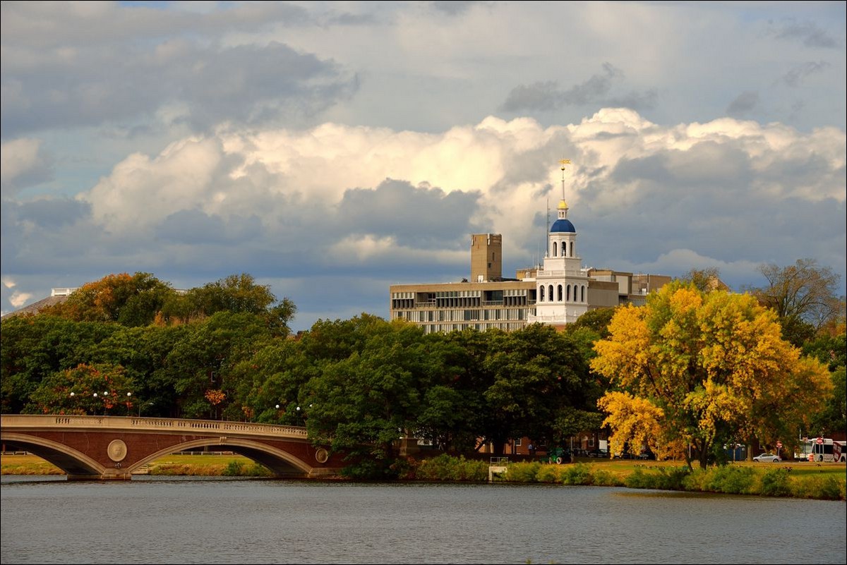 休闲随拍（250）