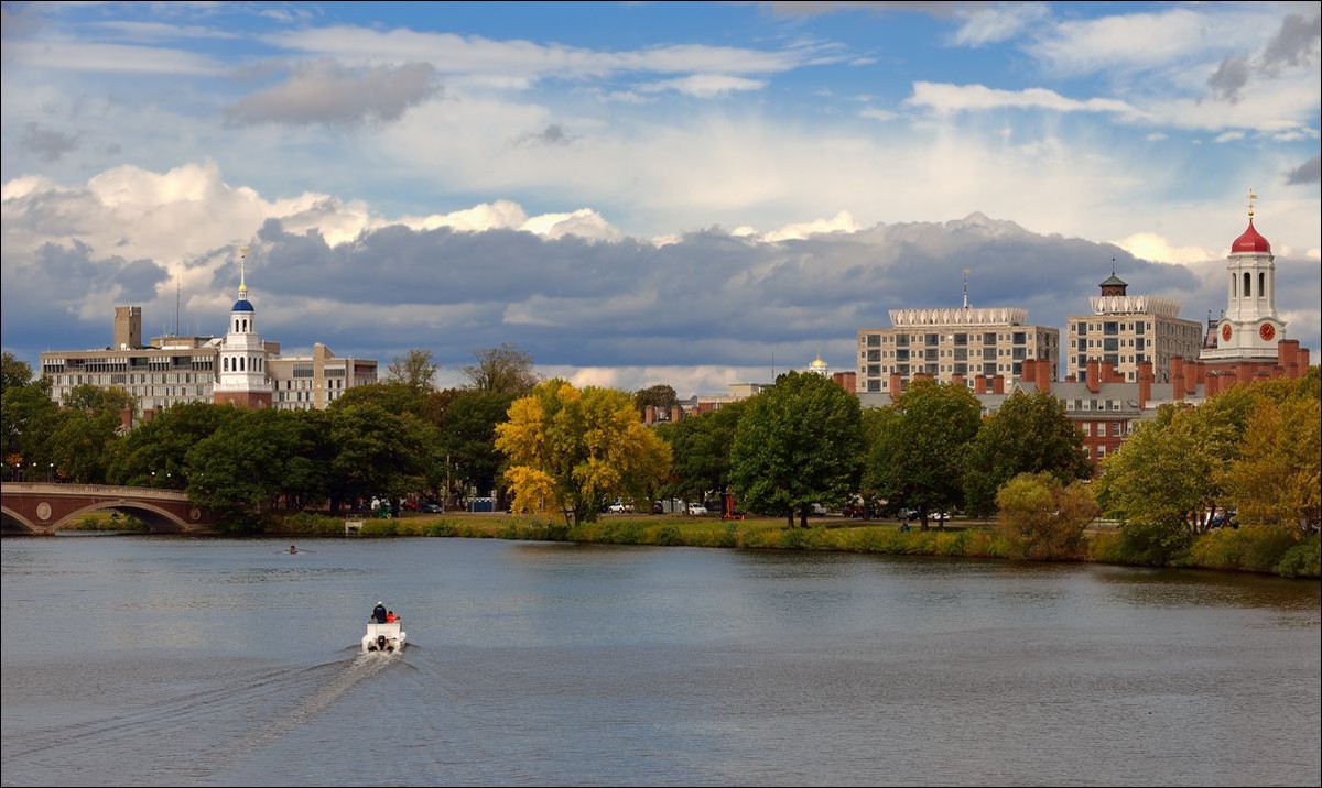 休闲随拍（250）