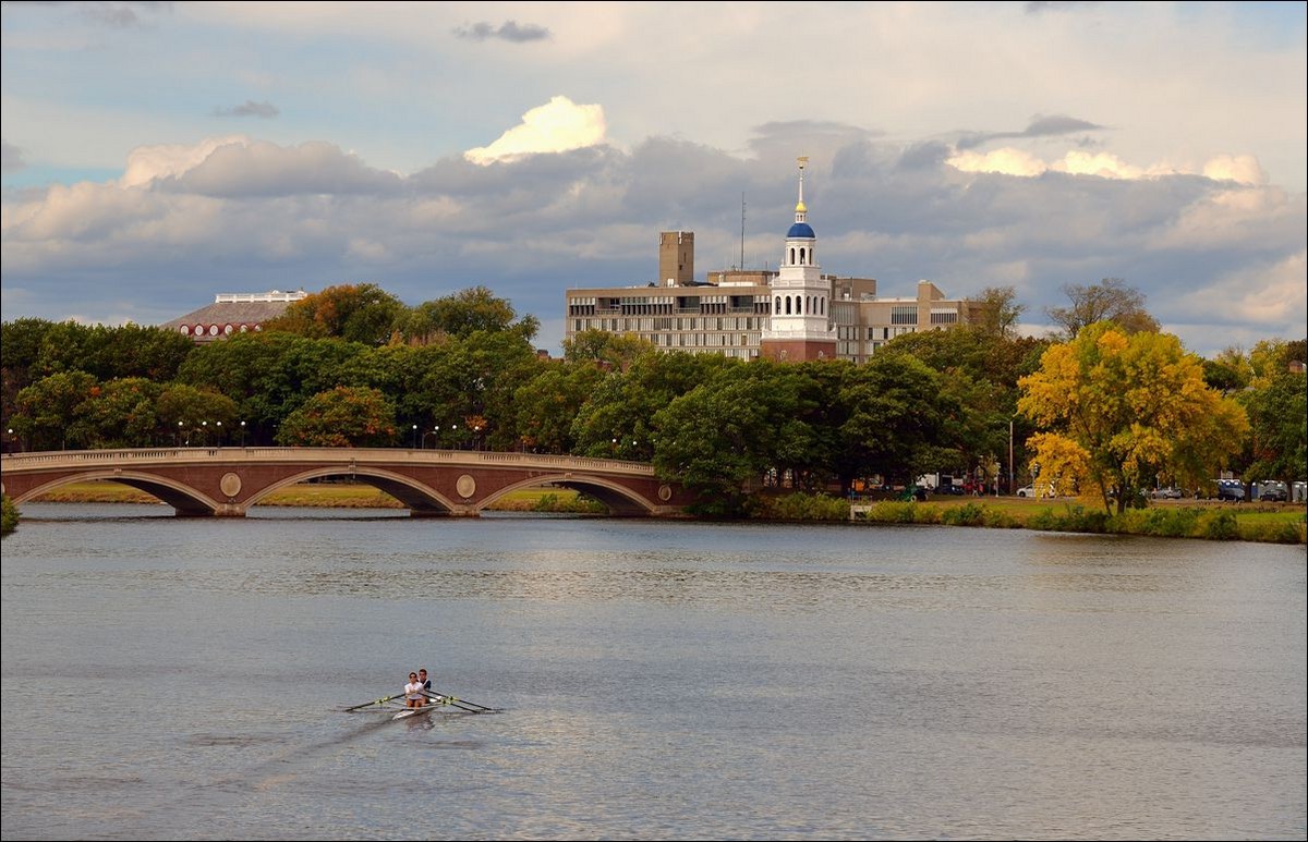 休闲随拍（250）