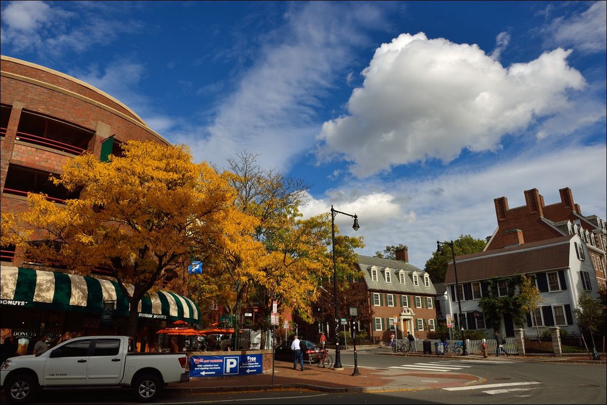 休闲随拍（250）