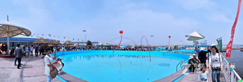 日照顺风阳光海洋牧场“五一渔乐节”开幕