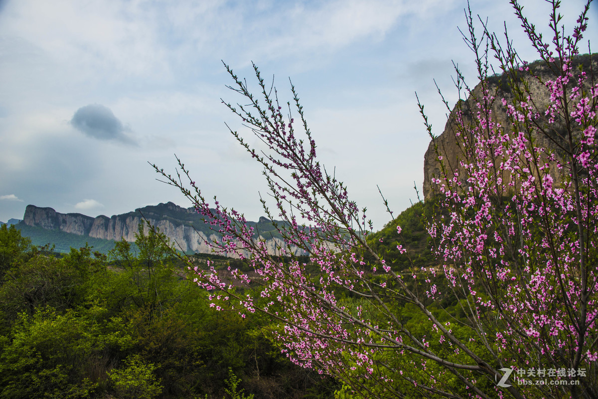 我也拍板山之八（终结篇）